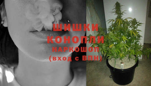 прущие крисы Вязьма