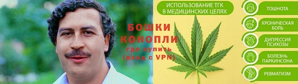 прущие крисы Вязьма