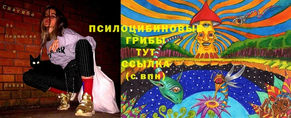 MESCALINE Вязники