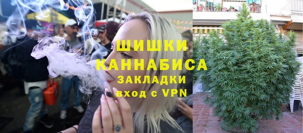прущие крисы Вязьма