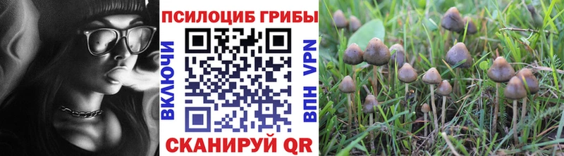 магазин продажи Можга Галлюциногенные грибы мухоморы